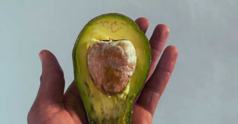 Anthony holding a slice of avocado as one of the best foods for weight loss after 30.