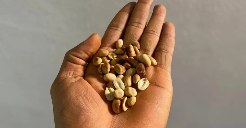 A hand holding a groundnut, highlighting a nutritious snack choice that can help avoid common nutrition mistakes after 30.