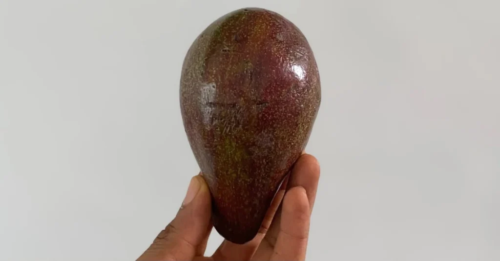 Anthony holding an avocado for a low carb breakfast