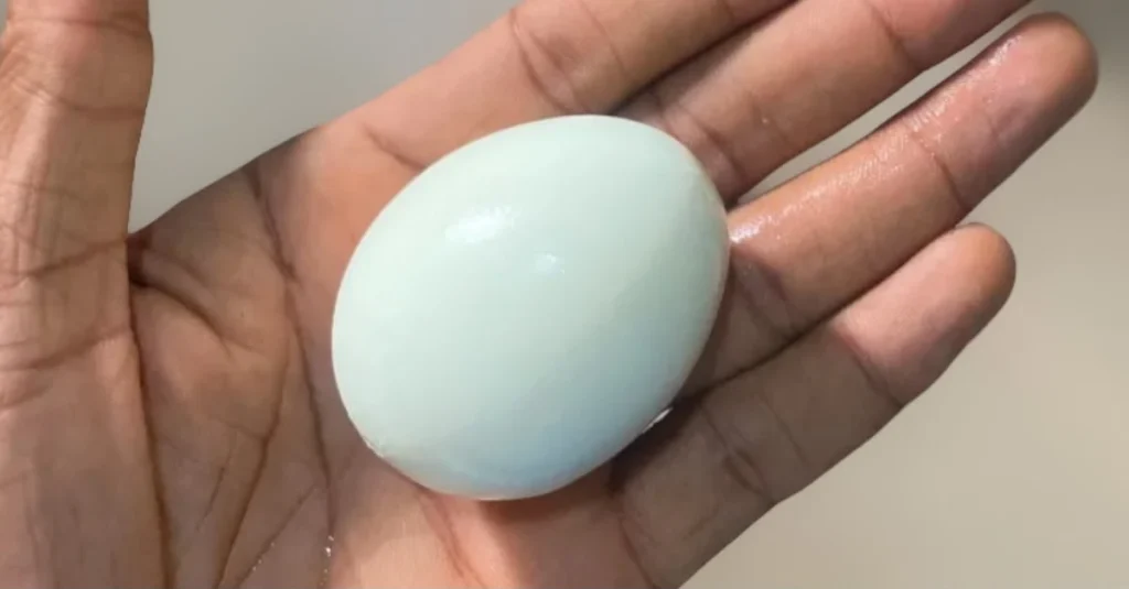 Anthony holding a peeled boiled egg