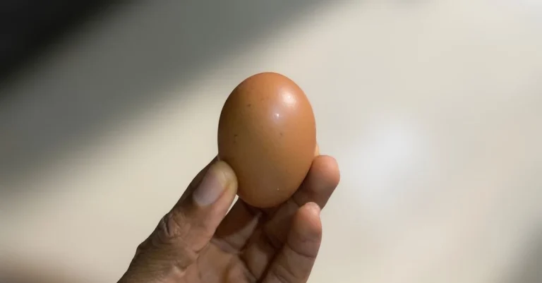 Anthony holding an egg while discussing how much protein is in an egg