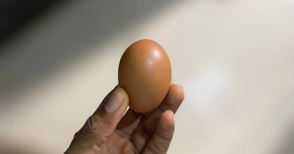 Anthony holding an egg while discussing how much protein is in an egg